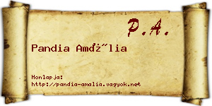 Pandia Amália névjegykártya